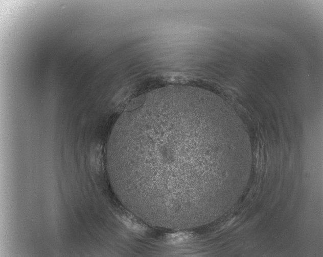 X0000067490511200604101258