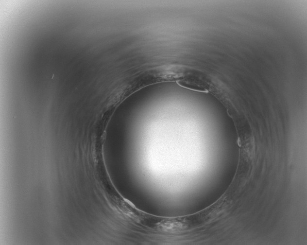 X0000067490512200604101258