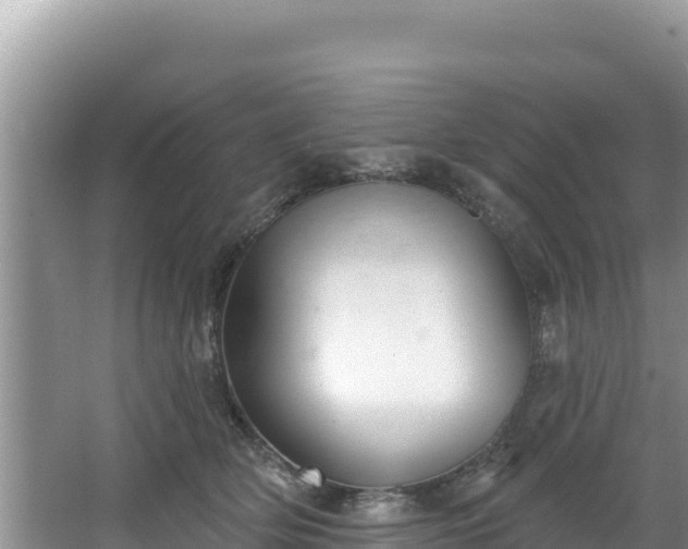 X0000067490514200604101258