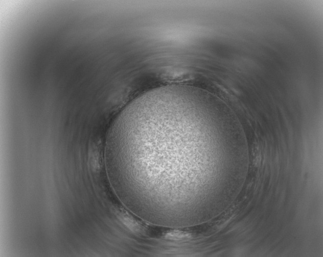 X0000067490515200604101258