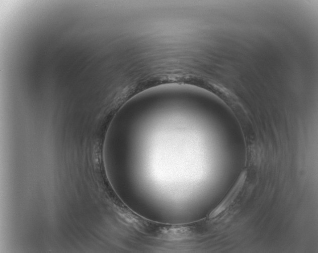 X0000067490517200604101258