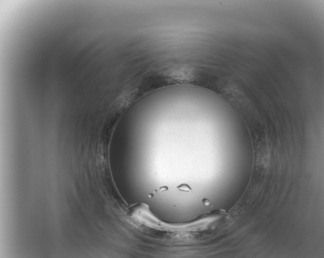 X0000067490518200604101258