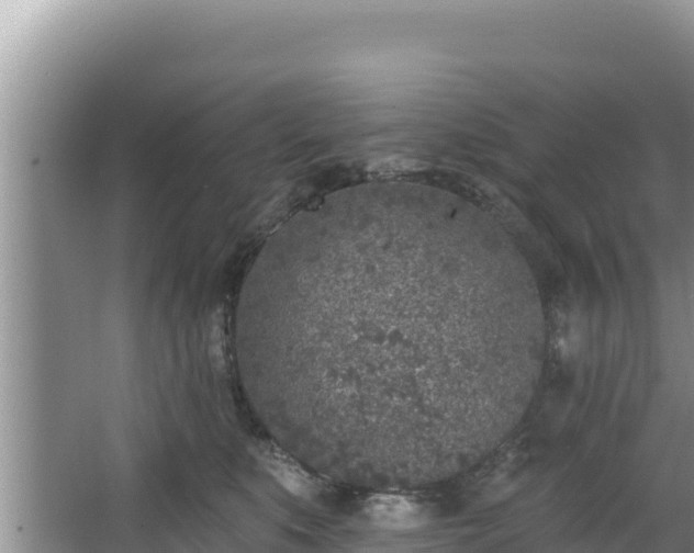 X0000067490519200604101258