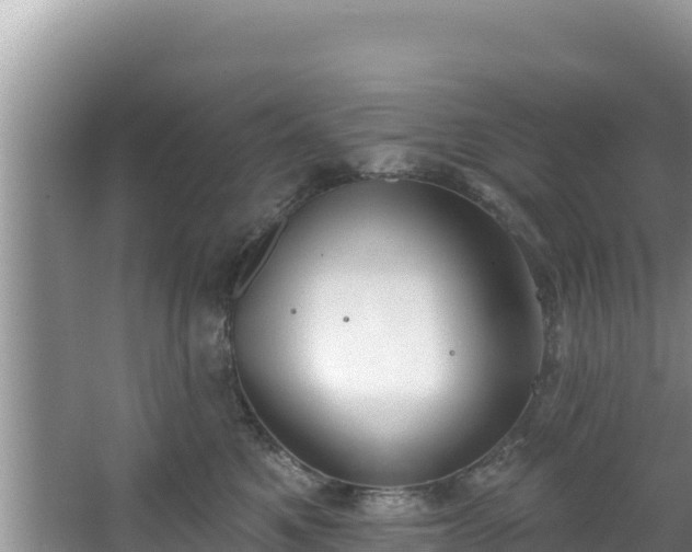 X0000067490521200604101258