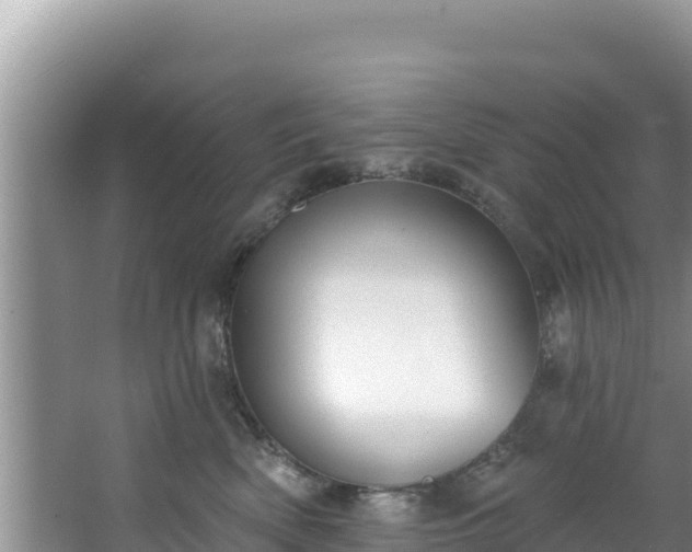 X0000067490522200604101258