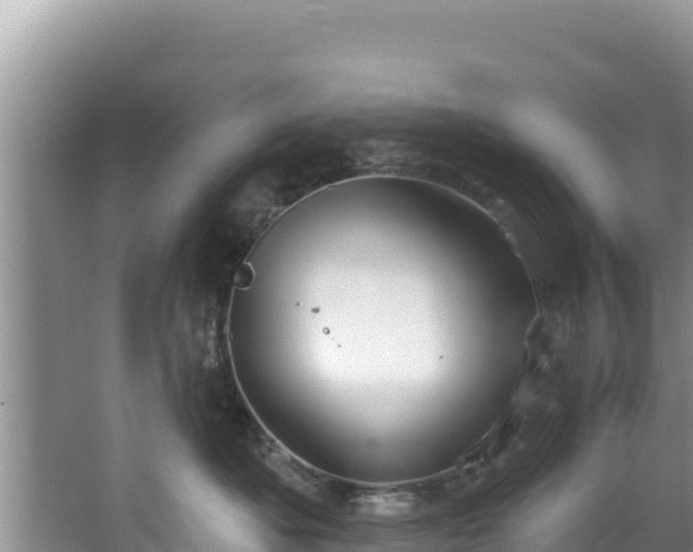 X0000067490525200604101258