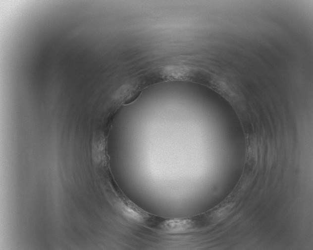 X0000067490526200604101258