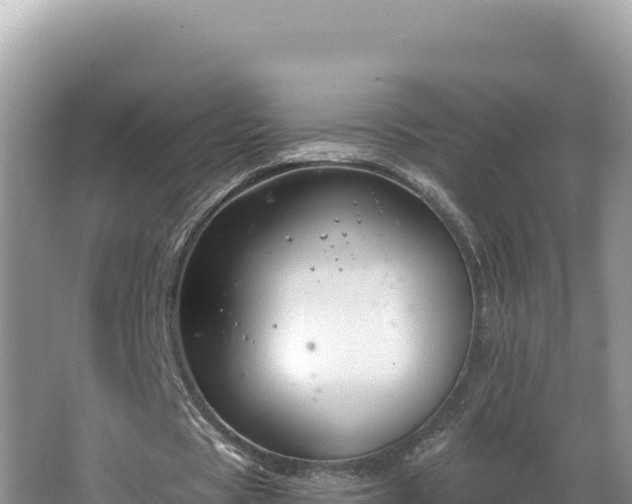 X0000067490529200604101257