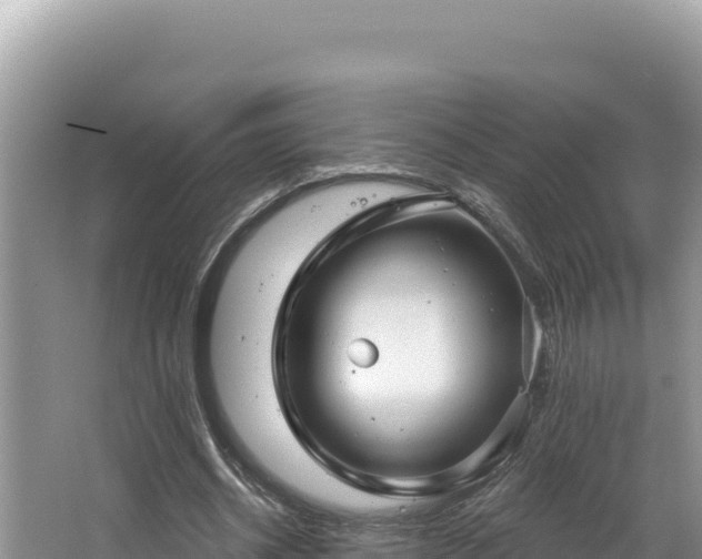 X0000067490534200604101257