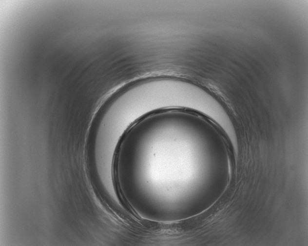 X0000067490536200604101258