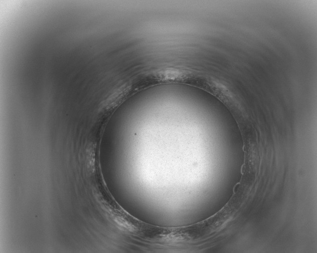 X0000067490545200604101258