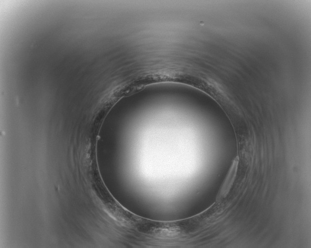 X0000067490548200604101258