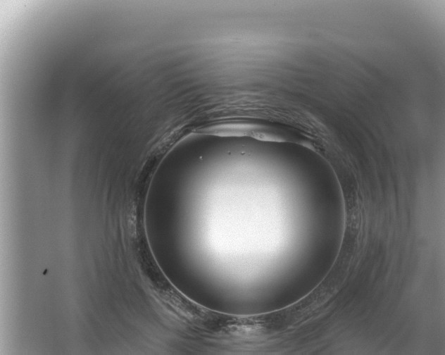 X0000067490552200604101258