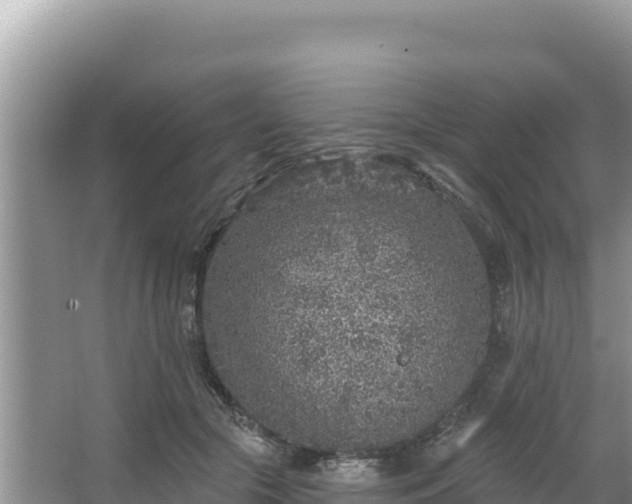 X0000067490553200604101258