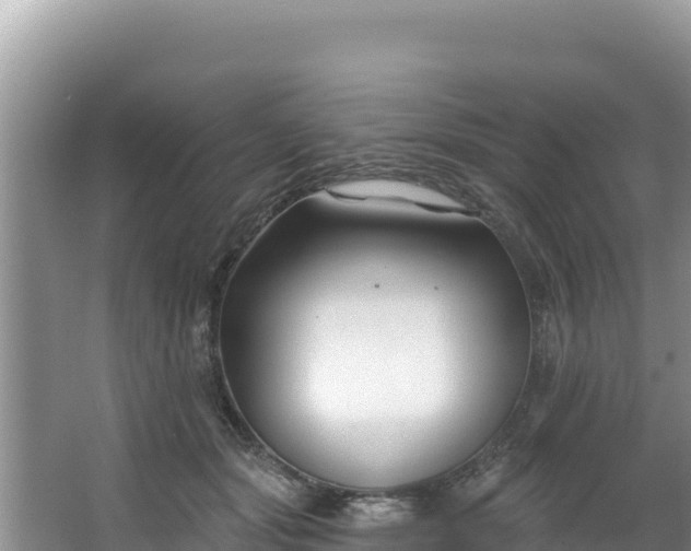 X0000067490557200604101258