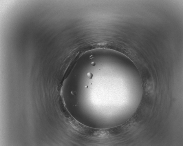 X0000067490559200604101258