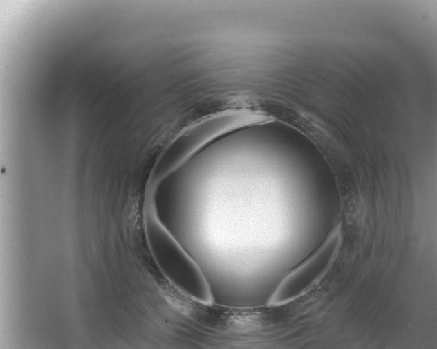 X0000067490560200604101258