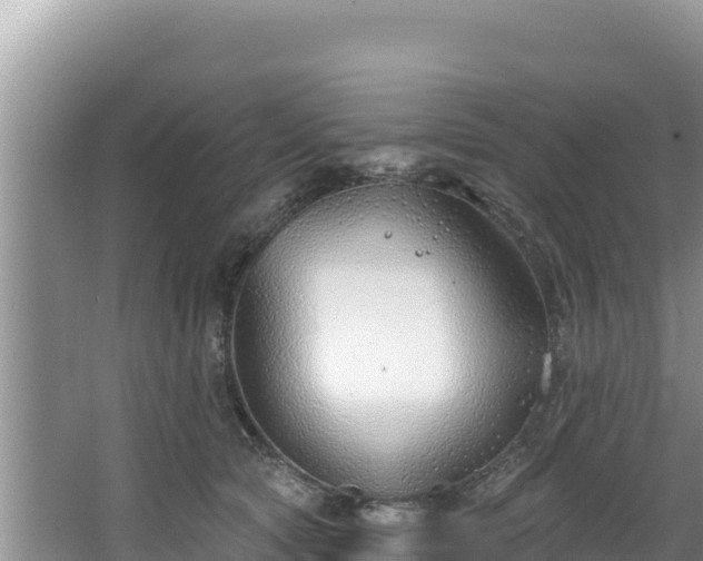 X0000067490561200604101258