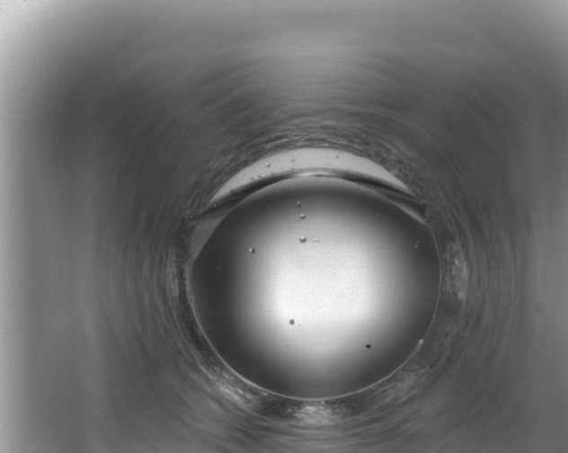 X0000067490562200604101258