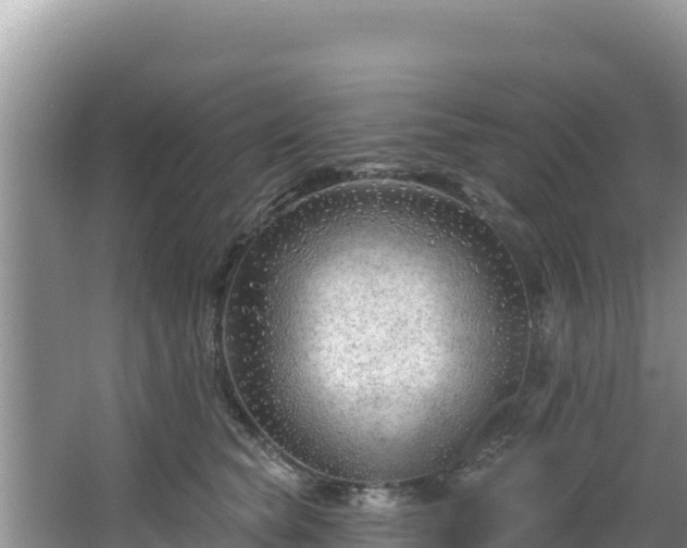 X0000067490565200604101258