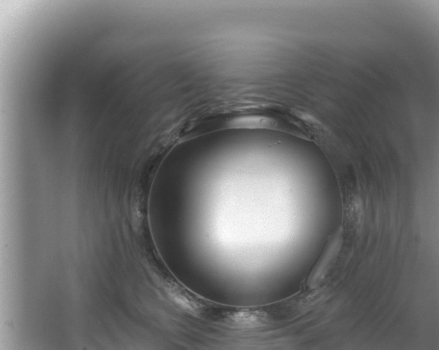 X0000067490566200604101258