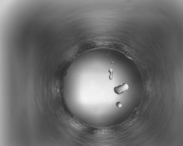 X0000067490567200604101258