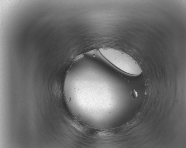 X0000067490568200604101258