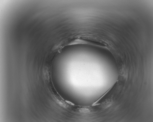 X0000067490572200604101258