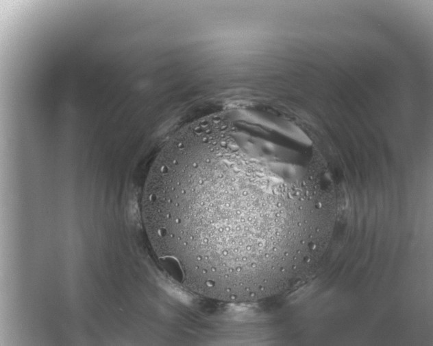 X0000067490573200604101258