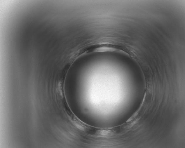 X0000067490575200604101258