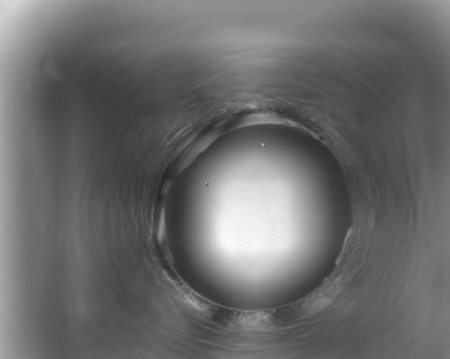 X0000067490576200604101258