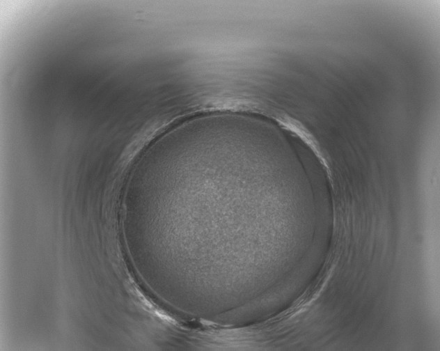 X0000067490577200604101257