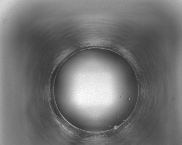 X0000067490578200604101257