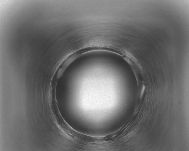 X0000067490580200604101257