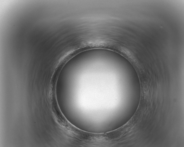 X0000067490583200604101257