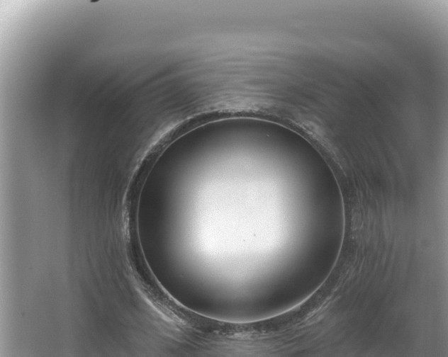 X0000067490584200604101257