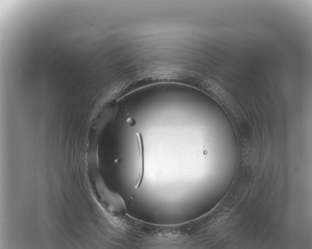 X0000067490586200604101257