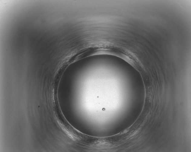 X0000067490589200604101257