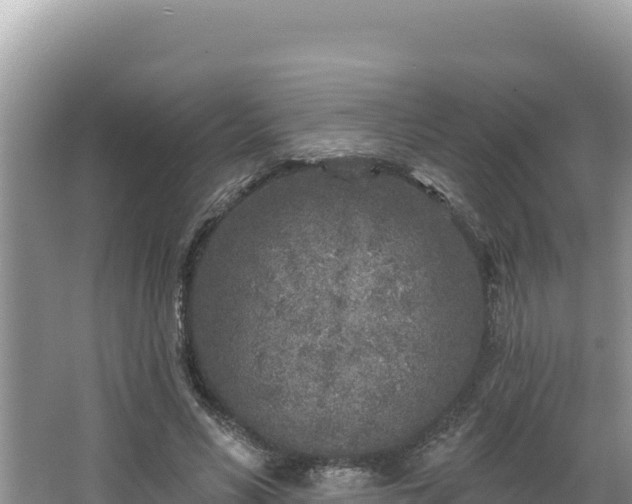 X0000067490590200604101257