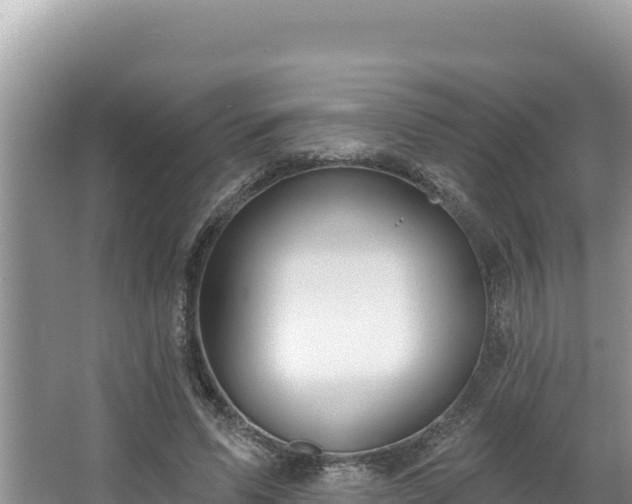 X0000067490591200604101257