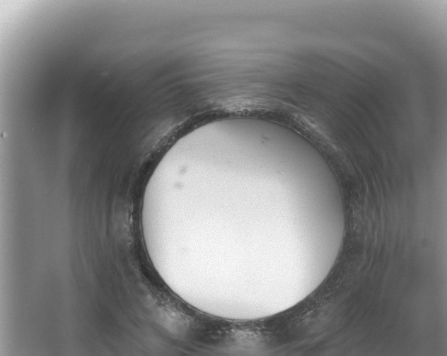 X0000067490592200604101257