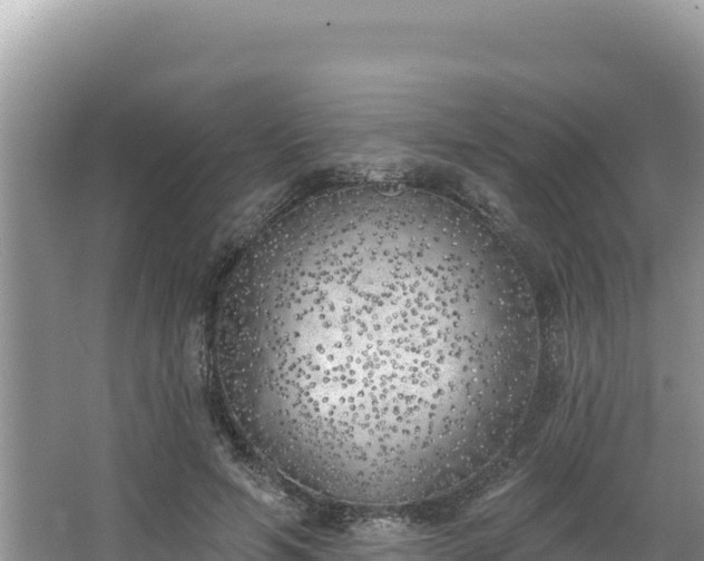 X0000067490594200604101257