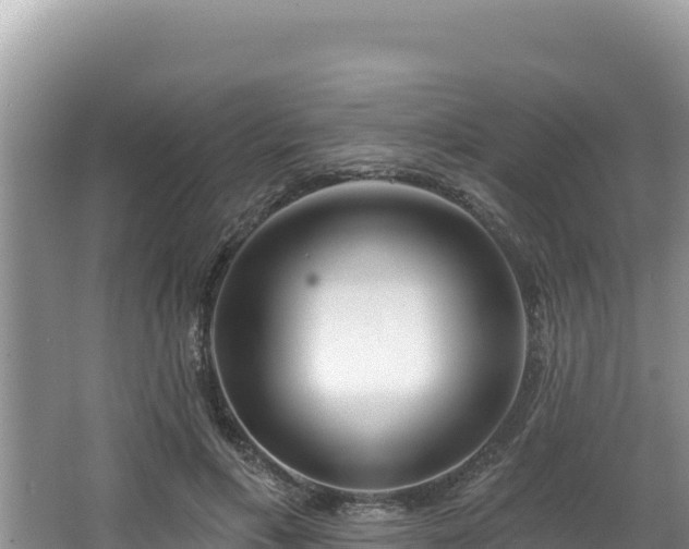 X0000067490597200604101257