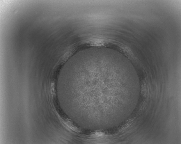 X0000067490598200604101257