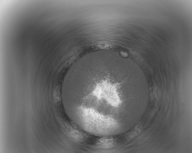 X0000067490606200604101257