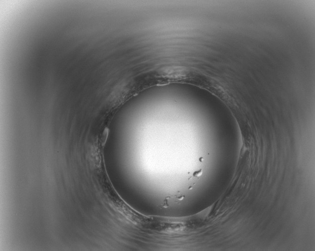 X0000067490609200604101257