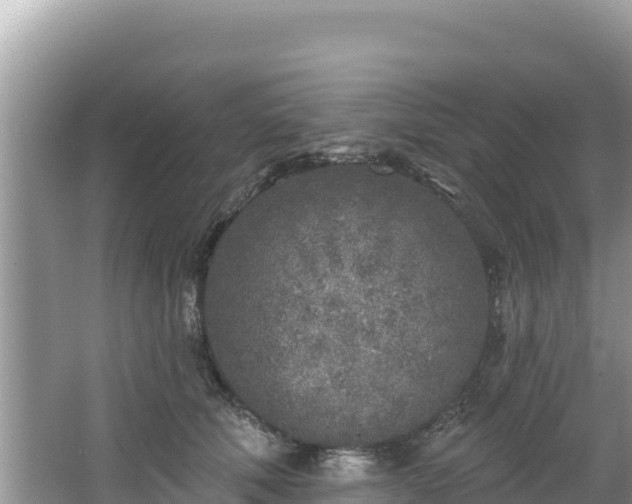 X0000067490610200604101257