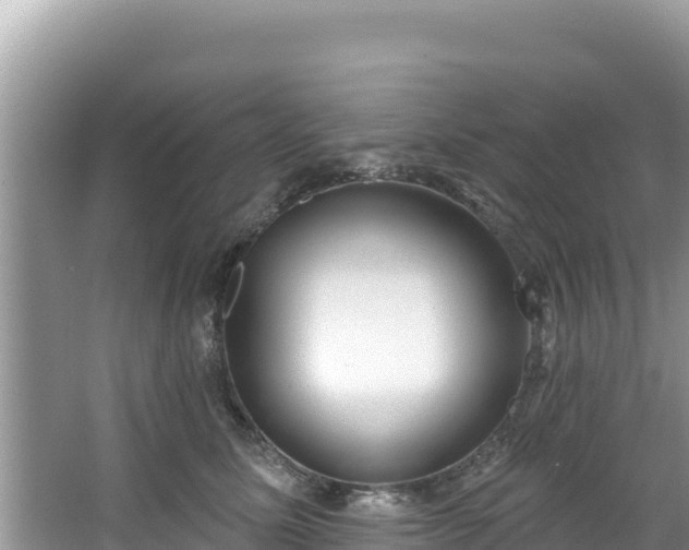 X0000067490611200604101257