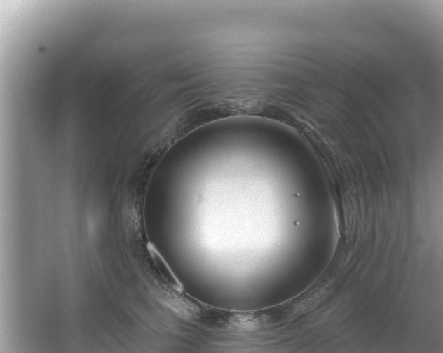 X0000067490613200604101257