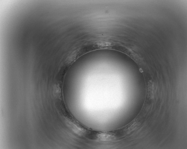 X0000067490614200604101257